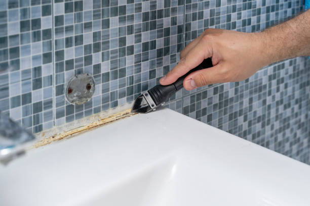 Best Residential Mold Remediation in Ellenville, NY